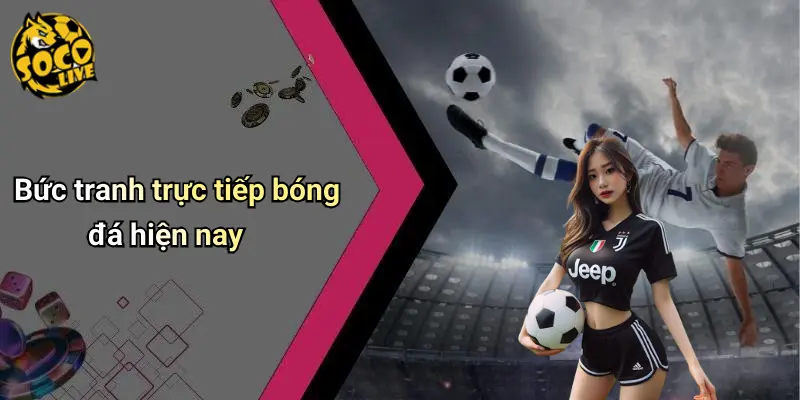 Trực Tiếp Bóng Đá 1 Trực Tiếp Bóng Đá