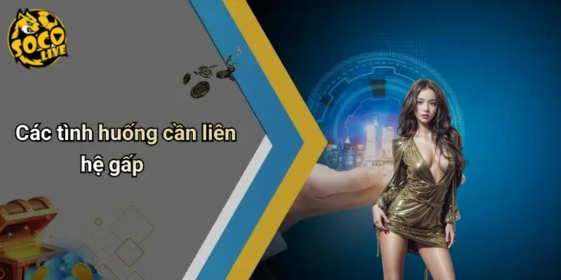 Liên hệ 2 Liên Hệ
