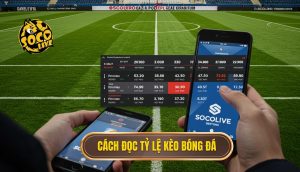 Cách đọc tỷ lệ kèo bóng đá