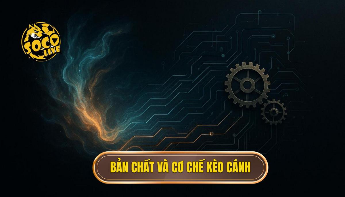 Bản Chất Và Cơ Chế Hoạt Động Của Kèo Phối Hợp Cánh
