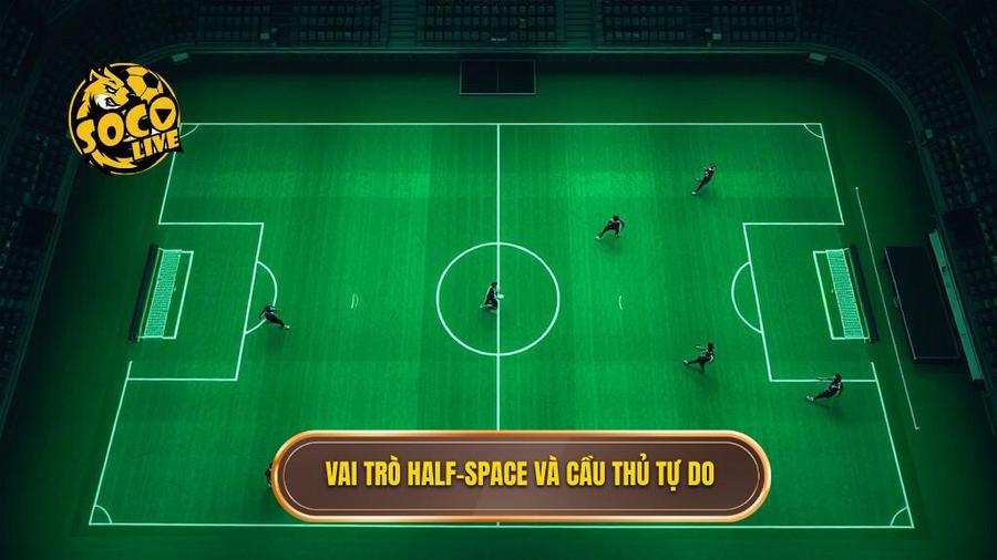 Vai trò của các "Half-space" và các cầu thủ tự do