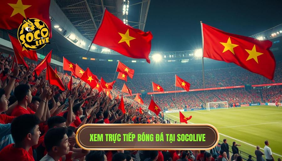 Tại sao chọn Socolive trực tiếp bóng đá Việt Nam?