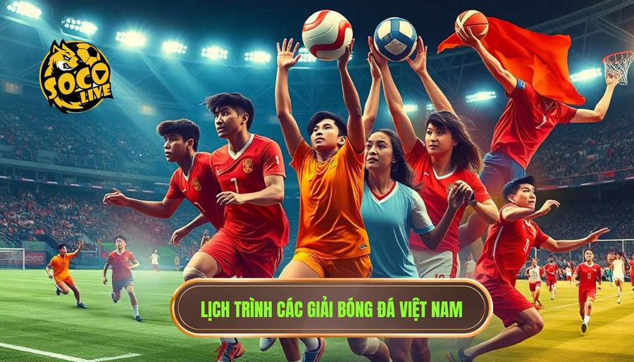 Lịch trình phủ sóng đa dạng các giải đấu Việt Nam