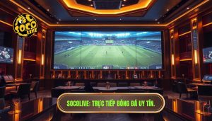 Socolive Trực Tiếp Bóng Đá Việt Nam: Đỉnh Cao Giải Trí Số 1